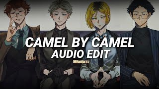 Camel by camel  Sandy Marton Edit Audio Version 2 [upl. by Chladek896]