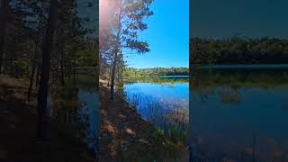 Gold Head Branch State Park hike florida [upl. by Hylan]