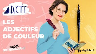 Dictée courte  les adjectifs de couleur [upl. by Telimay]