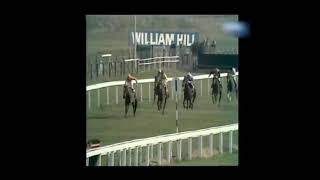 1973 William Hill Imperial Cup Handicap Hurdle [upl. by Enamrahc]