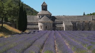 Summer Lavender at Abbaye Notre Dame de Sénanque [upl. by Junie]