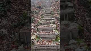 🇨🇭1000erStägli nahe OltenAarburg im Nebel mystische Herbststimmung 1150 Stufen auf den Born [upl. by Nevlin]