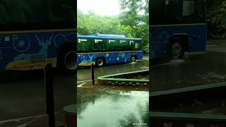 quotAfter the Rain Lush Greenery at IIT Madras Campusquot [upl. by Pironi]