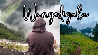 කැලේපාරෙන් ගියේ Wangedigala Hiking amp Camping🏕️ වංගෙඩිගලtravel naturesl mountains waterfall [upl. by Paulette]