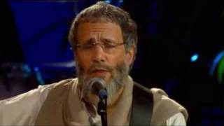 Cat Stevens Yusuf Islam  Wild World [upl. by Thanasi]