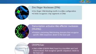 CRISPR edited mammalian cell linesadvantages applications and tips [upl. by Inaniel]