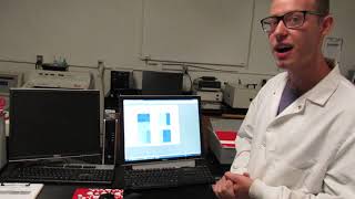 MSU Cell Biology BIO320  Cell Culture XTT Assay Set Up Video 12 [upl. by Scammon696]