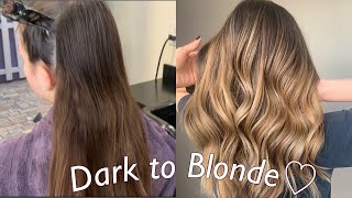 Hand Painted Balayage Ombre Technique  Dark to Blonde Tutorial [upl. by Cullan]