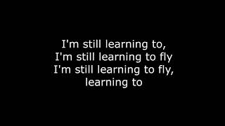 Sheppard  Learn to Fly Lyrics [upl. by Nauwaj]