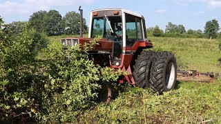 Bush Hogging Extremely Overgrown Briar Patch [upl. by Rosalinda]