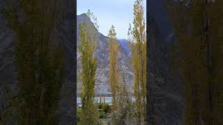 autumnvibes travel chitral kpk colorful [upl. by Ardnaiek118]