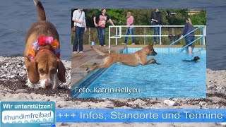 Beagle Barnie informiert  hundimfreibad [upl. by Morehouse]