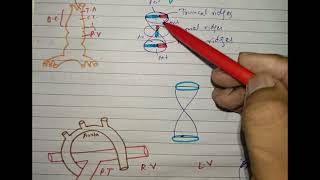 CV A 006 Development of outflow tract of ventricle in development of heart ❤️💖 made easy [upl. by Philipps]