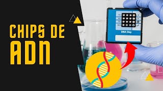 ¿Qué es un Chip de ADN [upl. by Aysa]