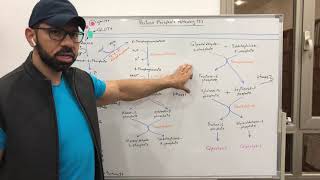 Pentose Phosphate Pathway 2 [upl. by Inafit]