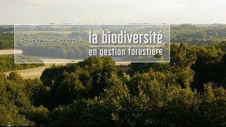 Prendre en compte la biodiversité en gestion forestière [upl. by Albie]