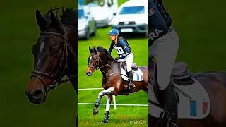 Cross country edit horse equestrain horserider edit crosscountry [upl. by Yodlem]