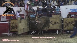 ¡ASI SE PELEA GANSITO DE NAYARIT vs PATRON DE CORRALEJO RANCHO LA CANDELARIA AUTLAN 2016 [upl. by Calvo]