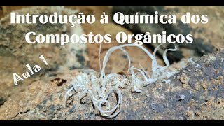 Introdução à Química dos Compostos de Carbono  Parte 1 [upl. by Aubree]