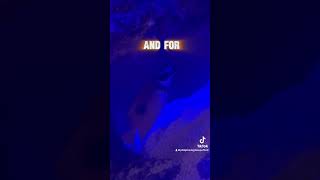 fish dogface funny aquarium reef trailer thanksgiving family fyp [upl. by Devona918]