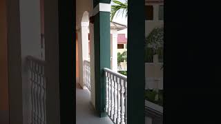 Lets Go PELICAN BAY RESORT  Lucaya Bahamas PART 3 resort staycation vacation kids bahamas [upl. by Eilsew592]