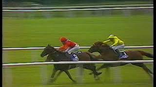 1989 Irish Champion Stakes Carroll House Includes Replay [upl. by Donadee545]