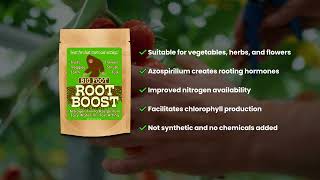 Root Boost Overview [upl. by Karleen320]