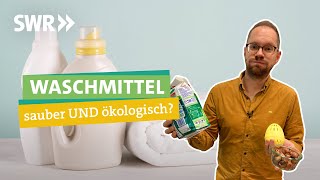 WaschNuss WaschEi Waschpulver Welches Waschmittel wäscht gut und nachhaltig I Ökochecker SWR [upl. by Anade]