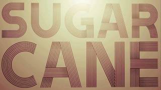 Sugarcane  Shaggy Official Lyric Video [upl. by Naltiac]