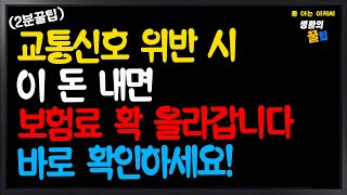 2분꿀팁 교통신호 위반 시 이 돈 내면 보험료 확 올라갑니다 바로 확인하세요 [upl. by Randi78]