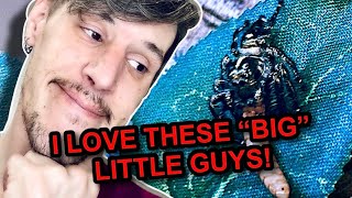 BIG ENCLOSURE  BIG JUMPING SPIDER Hyllus diardi  Zilla Review [upl. by Artined762]