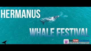 Whale Festival 2018 Hermanus Cape Town  Drone Shots [upl. by Stortz913]