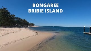 BONGAREE BRIBIE ISLAND Ultimate Camping Fishing Boating amp kayaking and a Best Holiday Destination [upl. by Lytton348]