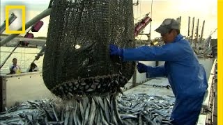 How More Efficient Fishing Can Protect the Ocean  National Geographic [upl. by Acirtal]