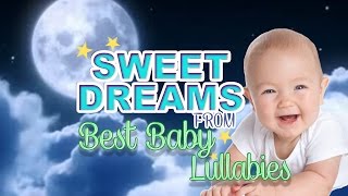 Lullaby For Babies To Go To Sleep RAIN SOUNDS amp Thunder Baby Lullaby Songs amp To Music Go To Sleep [upl. by Yasu]