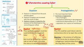 Normal labor  part 2 [upl. by Yelsha]