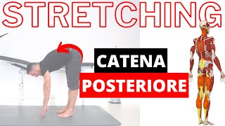 Ginnastica posturale esercizi di STRETCHING della MUSCOLATURA POSTERIORE [upl. by Clemens]