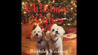 Christmas Cuties  Hawksley Workman a Pet Song [upl. by Nyrol640]