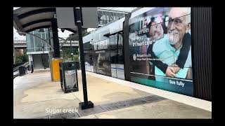 Cats buslight rail rail fanning 2024 observations [upl. by Mount]