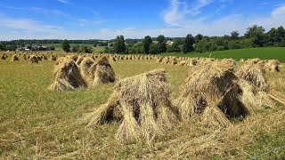 Ohio Amish Country 2024 [upl. by Bouton]