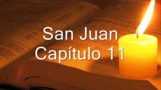 SAN JUAN COMPLETO BIBLIA HABLADA Y DRAMATIZADA NVI [upl. by Gare568]