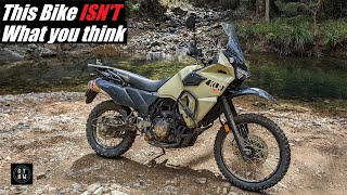 Why Is Everyone SELLING Their Kawasaki KLR650 [upl. by Dachia603]