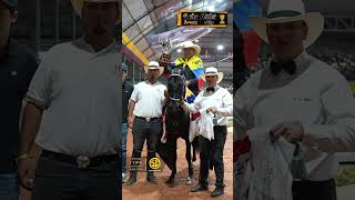 🇨🇴🏆CABALLERO DE RANCHO LUNA🏆🇨🇴GRAN CAMPEÓN TROCHA Y GALOPE  XXXII COPA AMERICA 2024 ✨ [upl. by Jeana463]