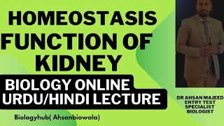 Ch 15 Function of kidneyPressure FiltrationReabsorptionsecretionclass 12 Urdu HindibyAhsan bio [upl. by Reider]