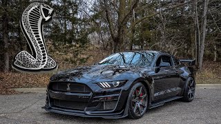 The Shelby GT500 Is The Coolest Mustang Ever Produced [upl. by Amitie]