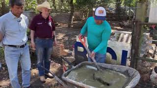 Libre y Saludable  Granja de Conejos Tochtlan [upl. by Ahtelat]