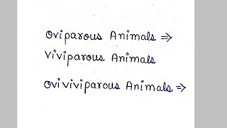 oviparous animals  viviparous animals  ovoviviparous animals [upl. by Schuler]