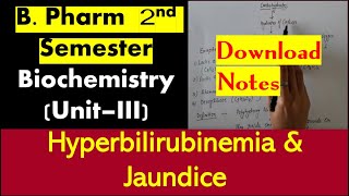 64 Part 171 hyperbilirubinemia and jaundice Amino acid metabolism B Pharm 2 Sem Biochemistry [upl. by Acirrehs919]