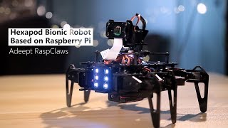 Hexapod bionic robot based on Raspberry Pi [upl. by Gide]