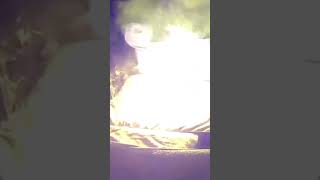 Dog starts house fire by chewing on portable battery [upl. by Eceinaj264]